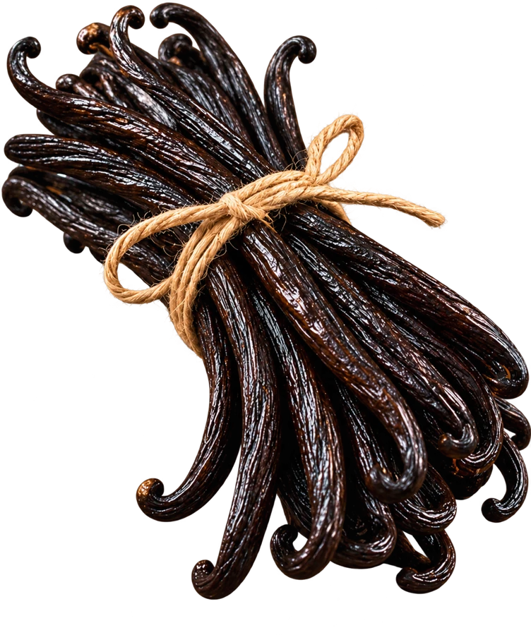Vanille noire Bourbon